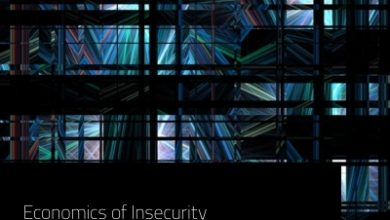 Photo of Economics Of Insecurity